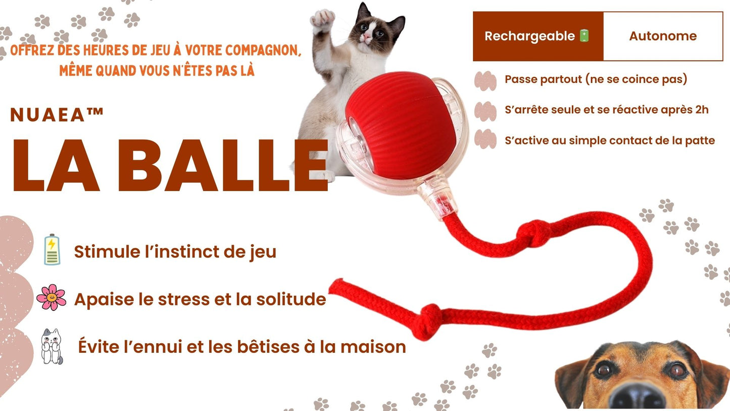 🐾 La balle interactive Nuaéa™