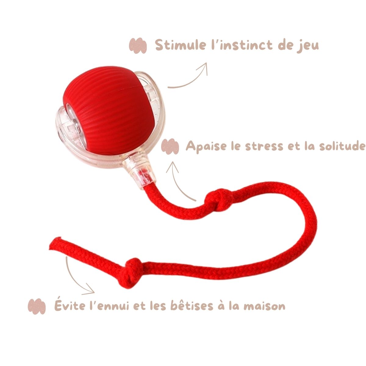 🐾 La balle interactive Nuaéa™
